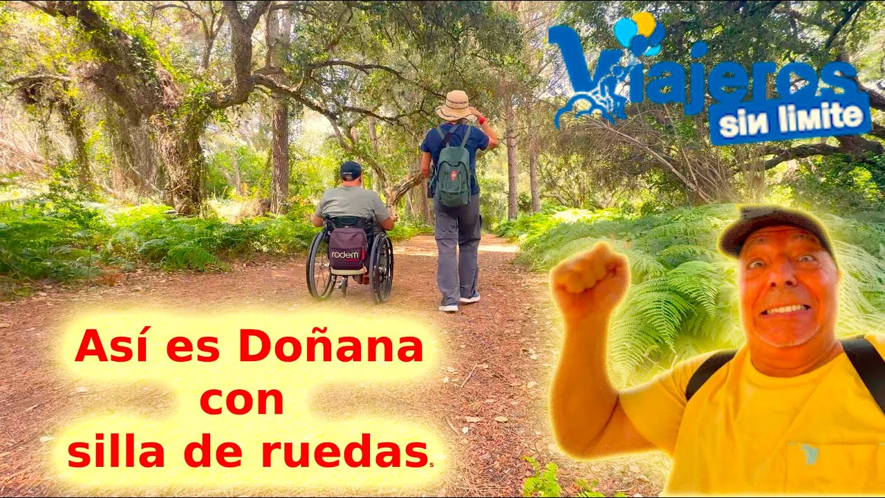 Doñana accesible: la magia del Acebuche, La Rocina y el Palacio del Acebrón