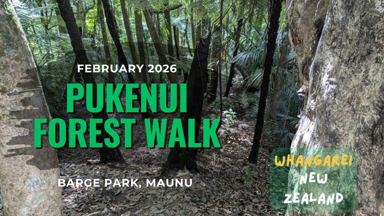 Pukenui forest walk from Barge Park - February 2026