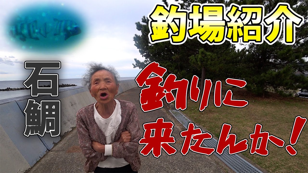 【釣り場紹介】和歌山県 白浜町【日置川河口】石鯛、グレ、アオリイカ、アジ、スズキ、チヌ等が釣れるポイント　水中映像有り
