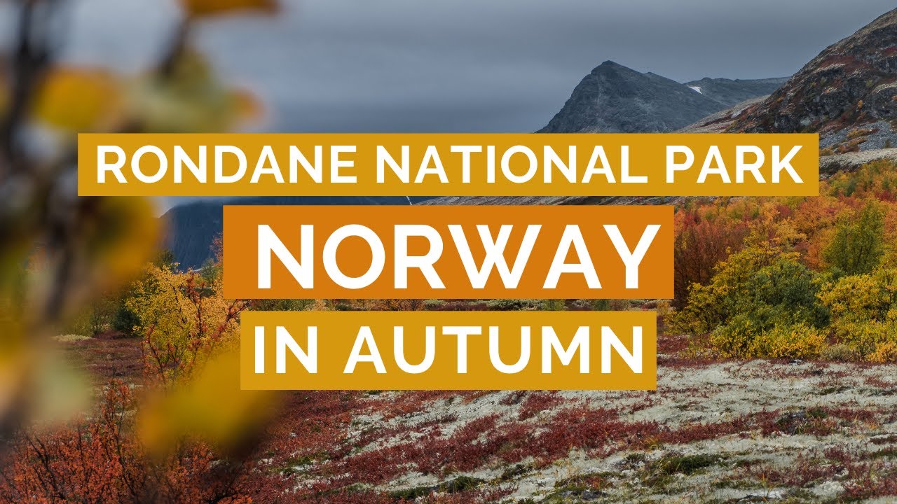 AUTUMN IN NORWAY - Rondane National Park
