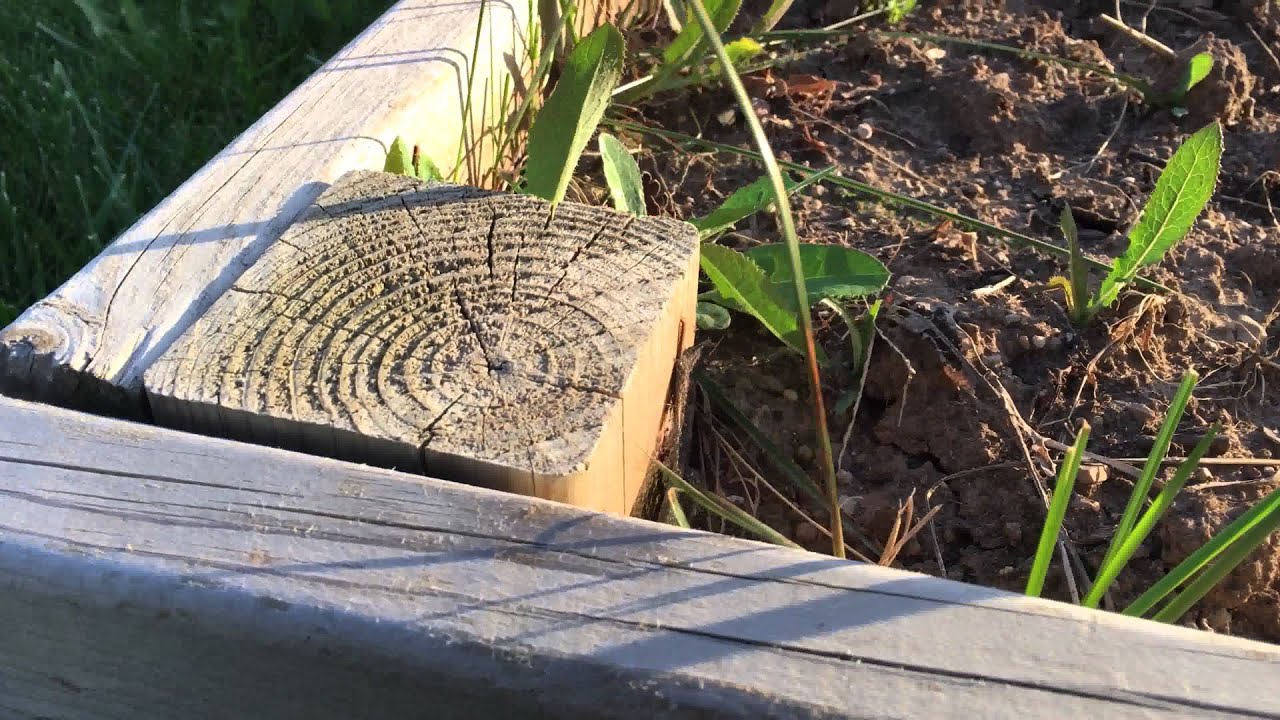 iPhone 6s Plus 4k Video Test