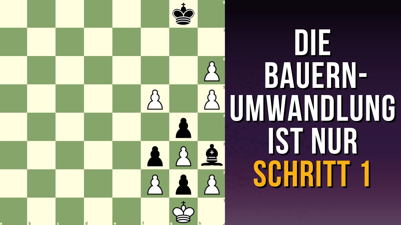 Diese Studie hat eine kuriose Lösung! Findest du Sie?