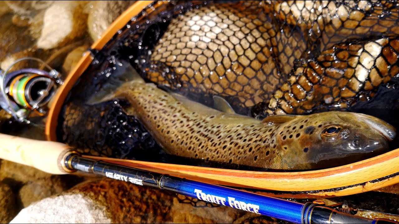 Pêche toc nymphe : Hearty Rise Troutforce 390