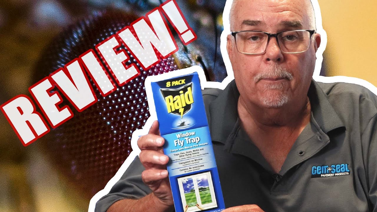 Raid Window Fly Trap Review