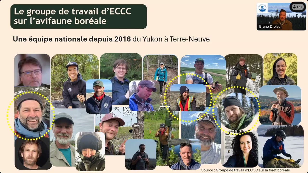 L’initiative Pineshish-Piyaasiis : participation autochtone au suivi des oiseaux boréaux au Québec