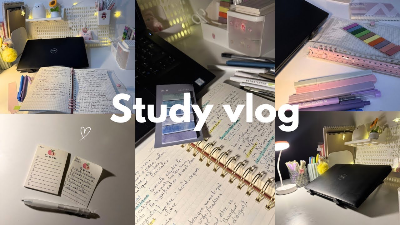 Study vlog | 4:30 am, lots of studying, notes, study productive, motivation ✨ ୨୧ ˚₊·