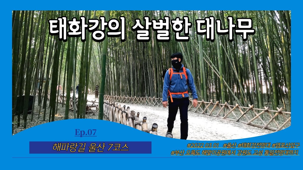 [울산 해파랑길 7코스] Ep.07 태화강의 살벌한 대나무ㅣ태화강전망대~염포산입구ㅣ부산에서 강원도 고성 통일전망대까지 770km의 대장정