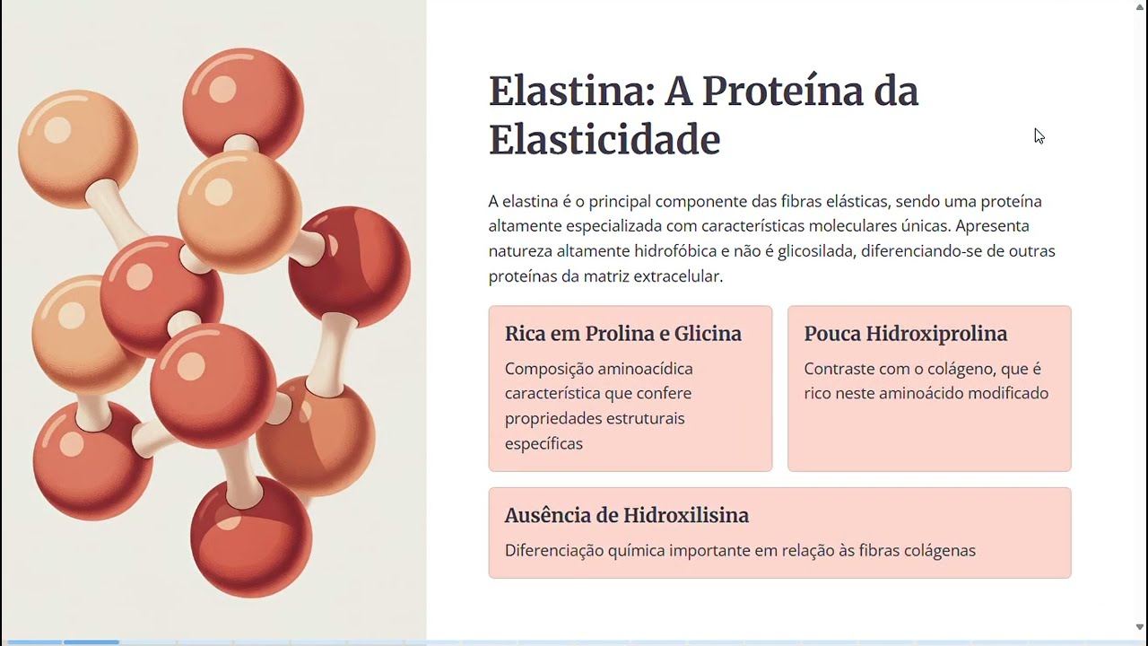 Elastina e Fibras Elásticas