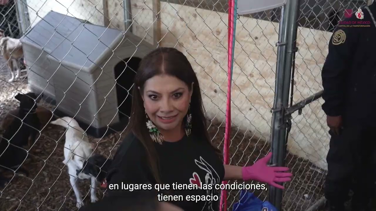 Brigada de Vigilancia Animal 
