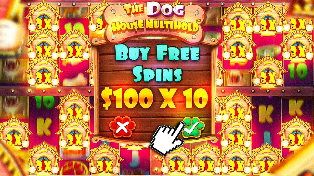 DOG HOUSE MULTI HOLD WHAT HAPPENS WHEN YOU BUY 10 BONUSES???