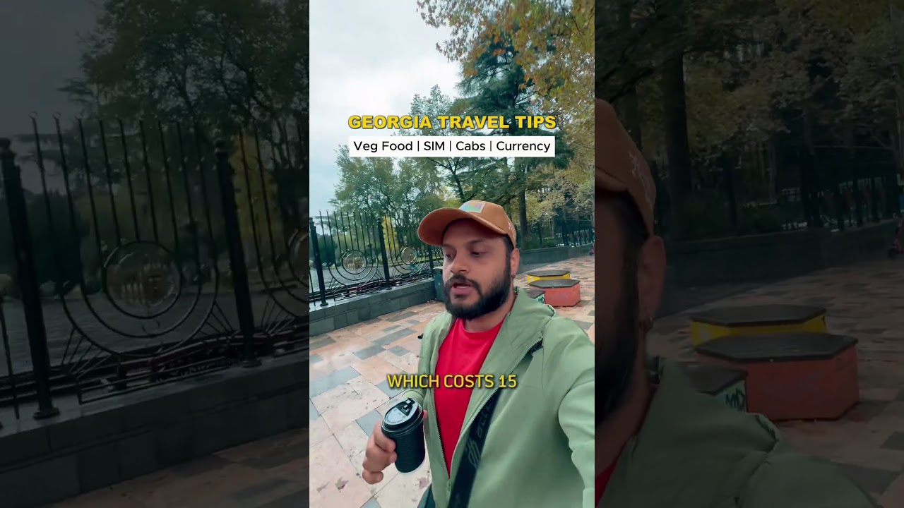 Georgia Travel Tips 🇬🇪 Veg Food, SIM card, Cabs & Currency Exchange #georgia #tbilisi