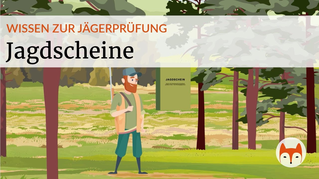 Jagdrecht einfach erklärt – Jagdschein, Voraussetzungen & Versagensgründe