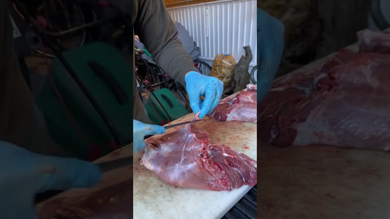 Everzwijnbout ontbenen Deboning wild boar leg