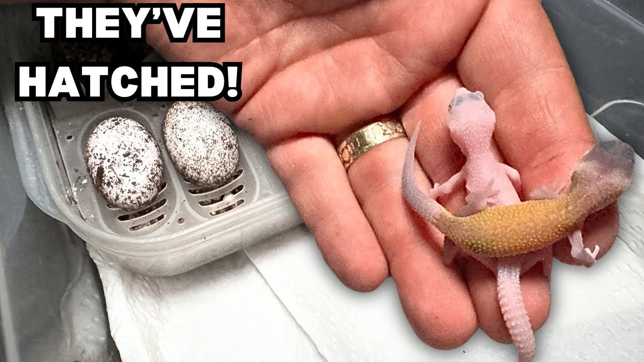 WE WERE NOT EXPECTING THIS!!