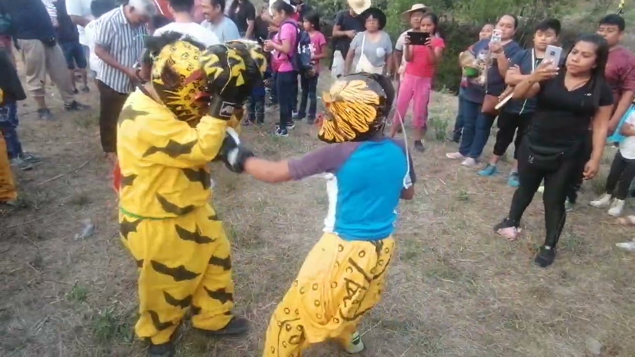 Pelea de tigres Acatlán gro 26