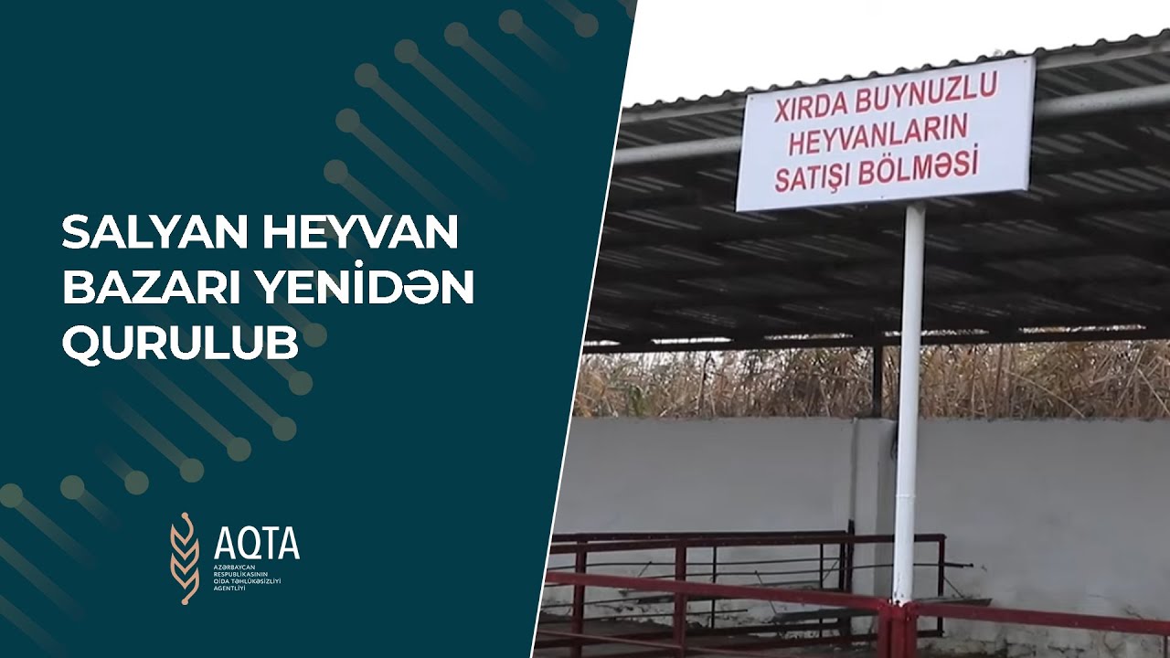 Salyan heyvan bazarı yenidən qurulub