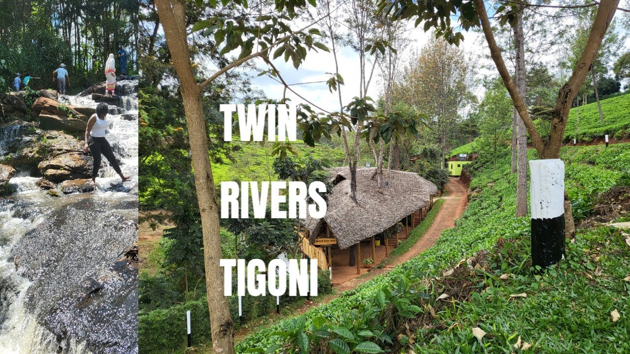 The SHOCKING Truth About Tigon and Twin Rivers