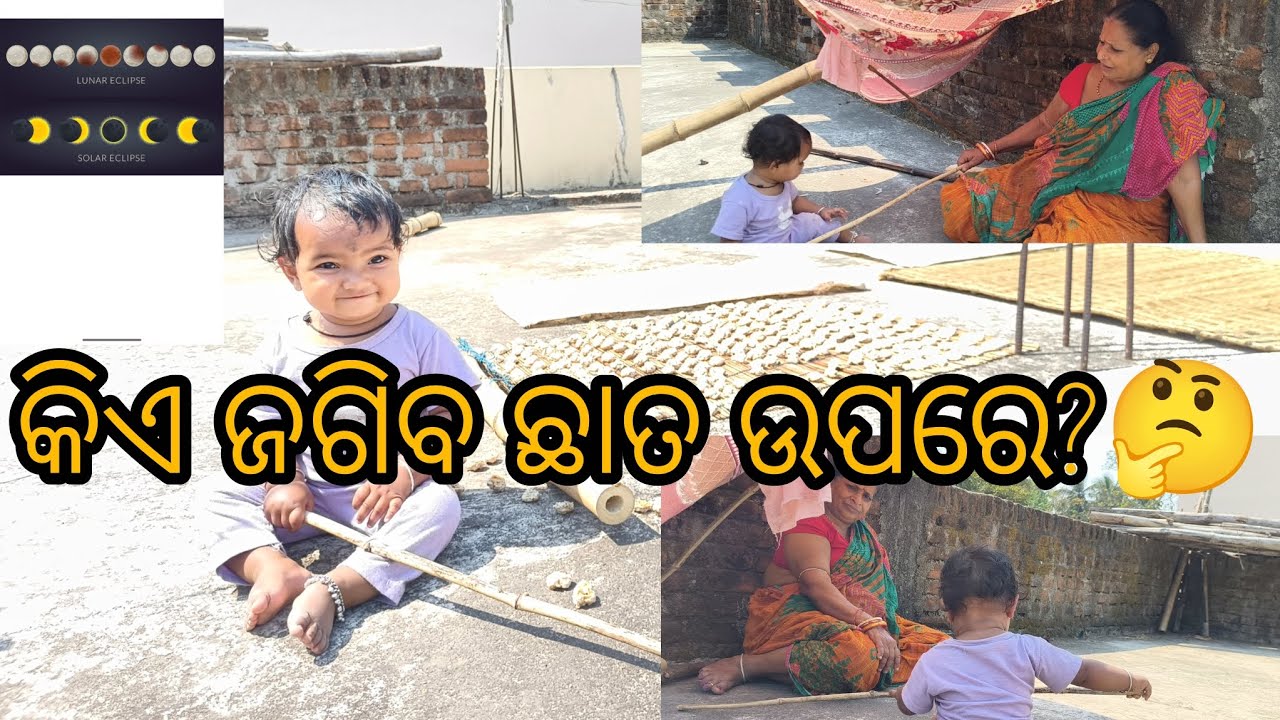ନାତୁଣୀ ଜେଜେମା ଛାତ ରେ ବସି କଣ କରୁଛନ୍ତି 🤔?।@crazymisspanigrahi #odiablog #dailyvlog #shorts #odisha 