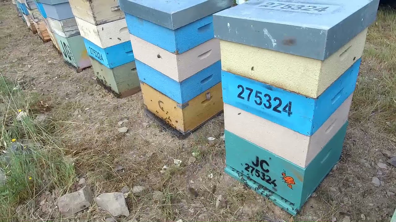Colocar Alças nas Colmeias