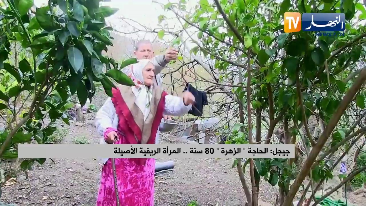 جيجل: الحاجة 