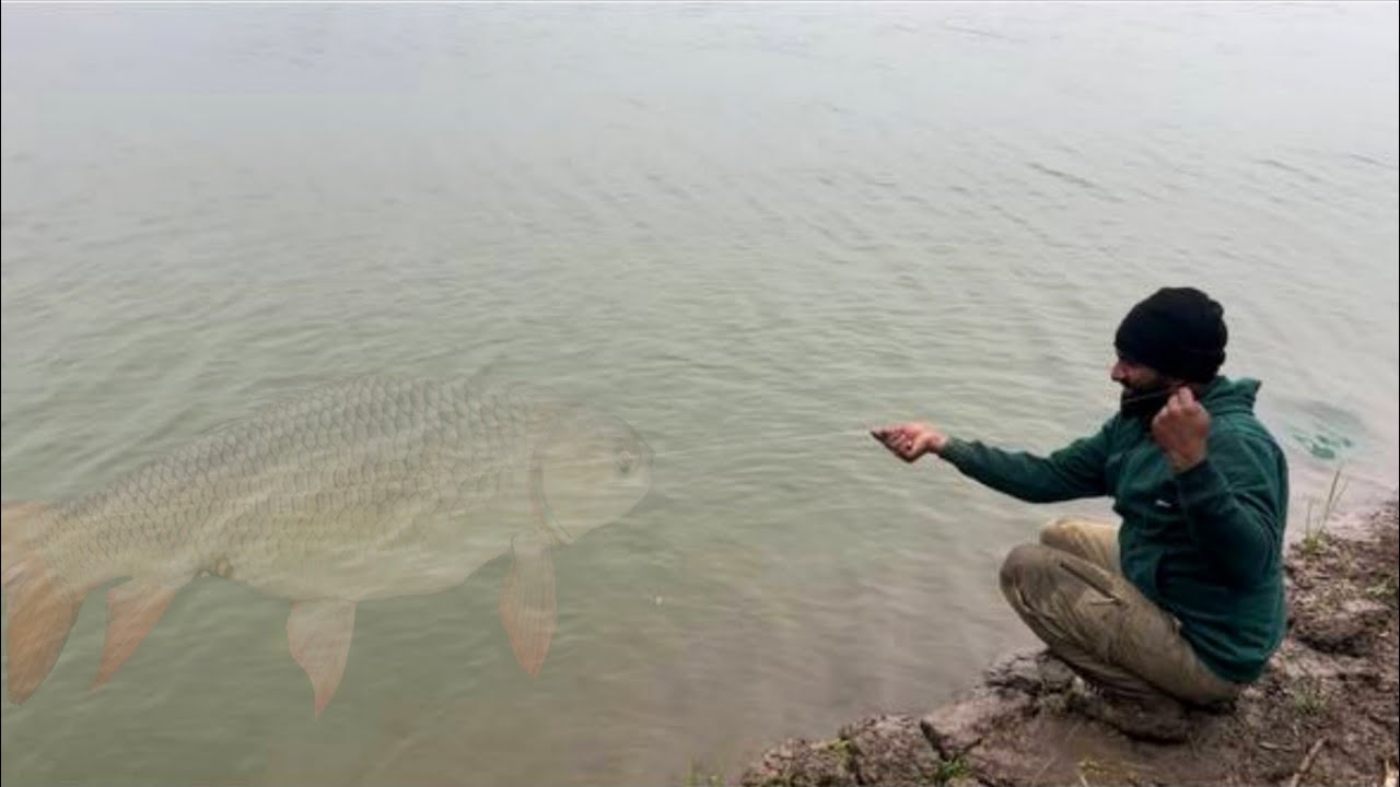 Fishing Videos Big Fish | Best Bait For Rainy Session | Fishing Videos On YouTube