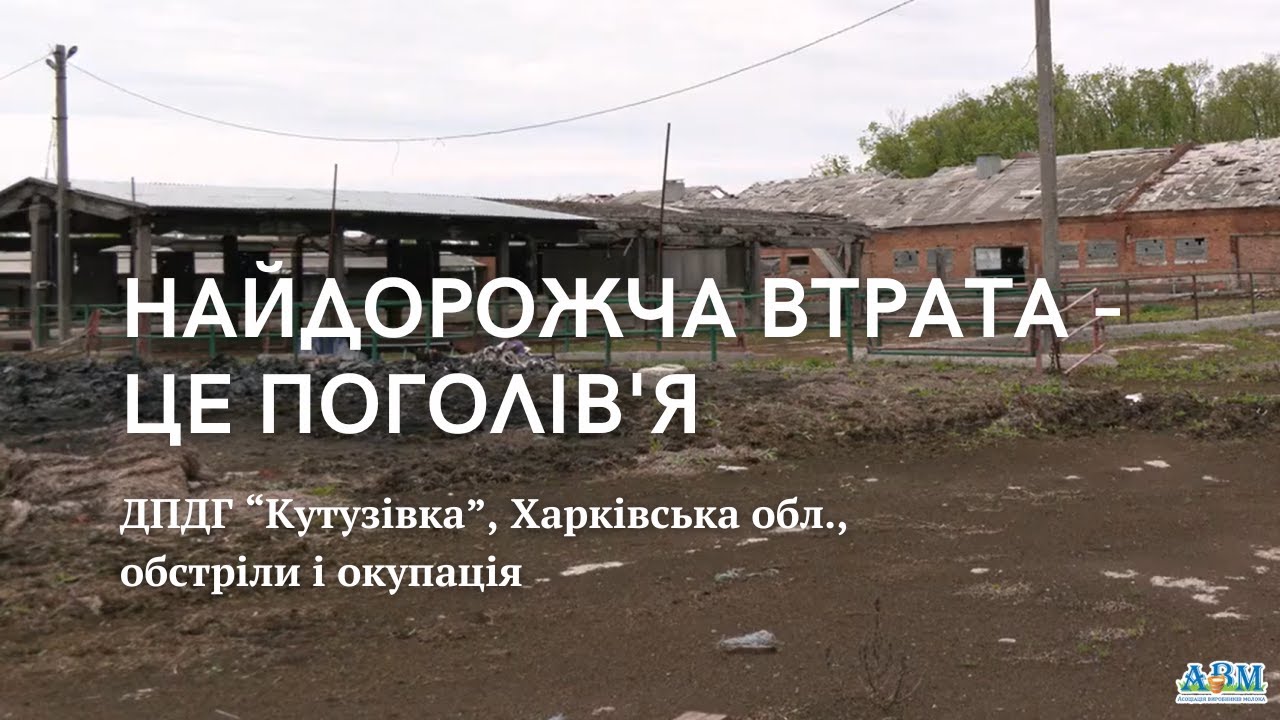 Найдорожча втрата - це поголів'я. Як ДПДГ “Кутузівка” пережило обстріли і окупацію
