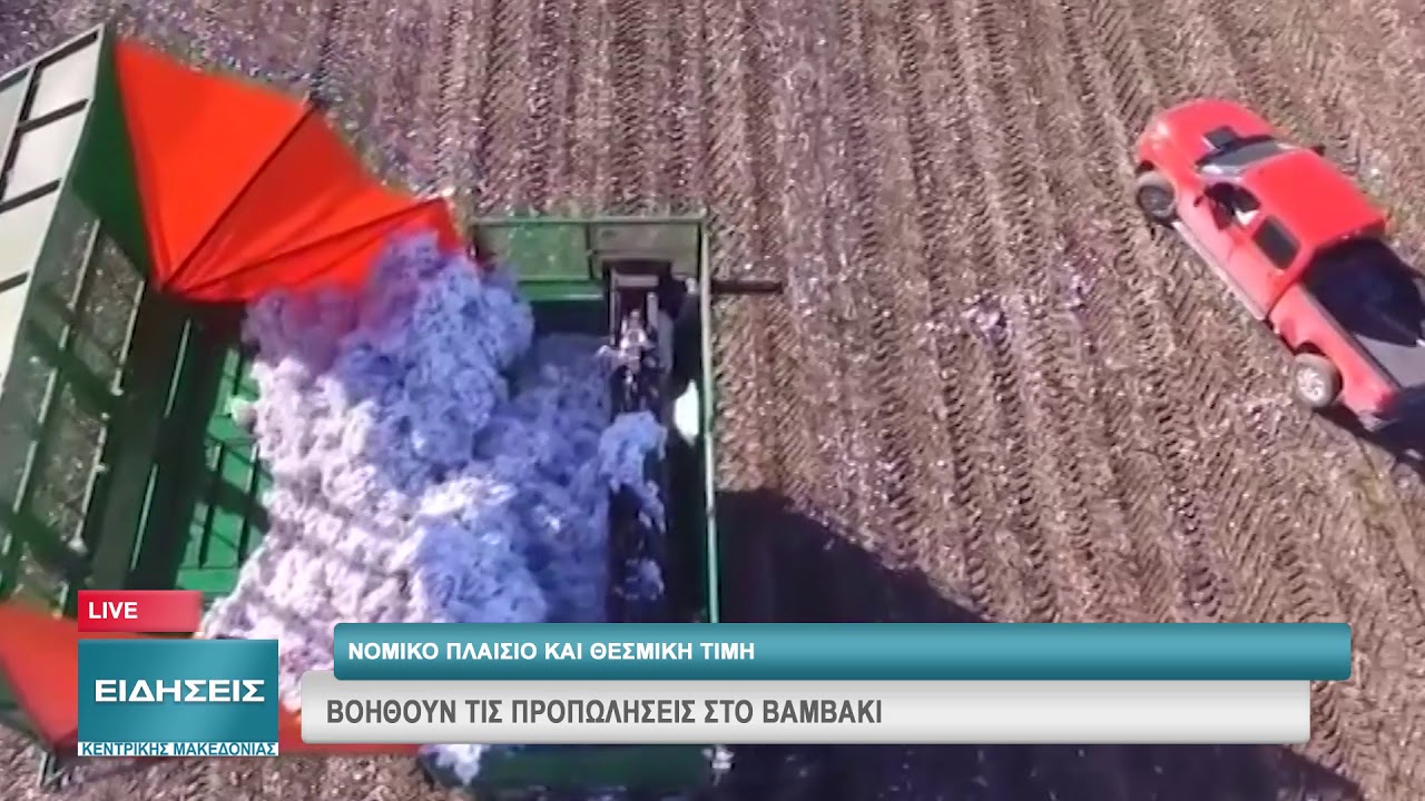 ΝΟΜΙΚΟ ΠΛΑΙΣΙΟ ΚΑΙ ΘΕΣΜΙΚΗ ΤΙΜΗ: ΒΟΗΘΟΥΝ ΤΙΣ ΠΡΟΠΩΛΗΣΕΙΣ ΣΤΟ ΒΑΜΒΑΚΙ