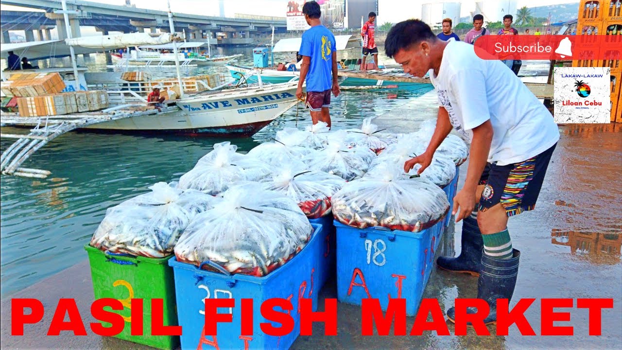 PASIL FISH MARKET CEBU CITY PHILIPPINES 2023