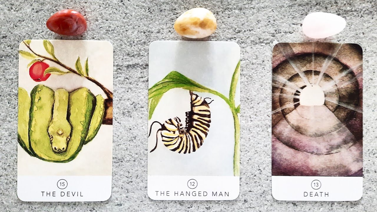 THE END OF A TOUGH CYCLE! 🍎🌿💡 | Pick a Card Tarot Reading