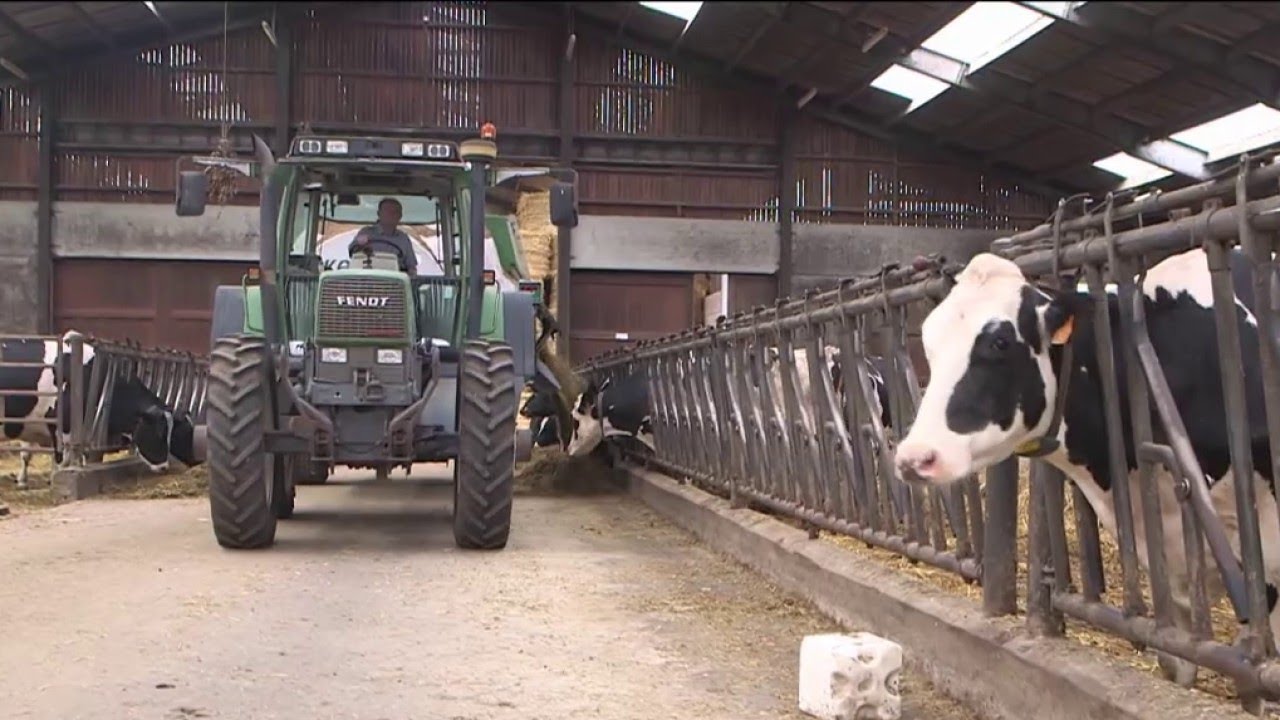 Lait - Nos producteurs en danger
