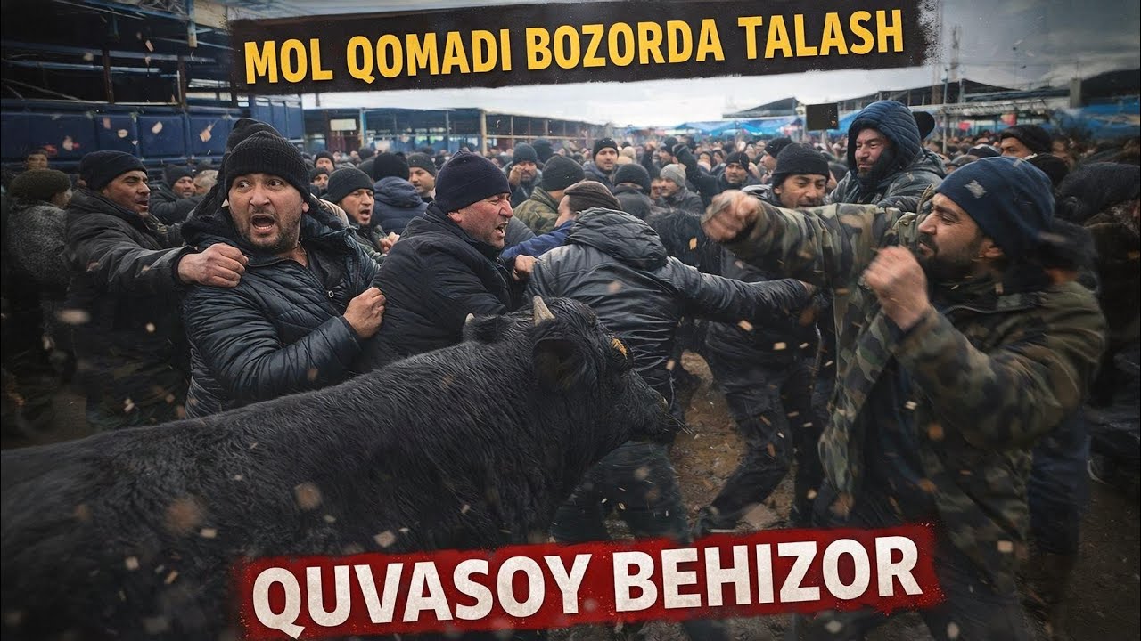 QUVASOY BEHIZOR BOZORGA NIMA BOLDI MOLLAR YÓQ NARXLAR😱TÓLIQ BOZOR VIDEOSI HAMMASI😱13 февраля 2026 г.