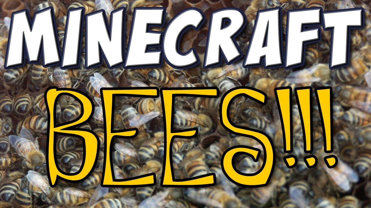 Minecraft - BEES!!!