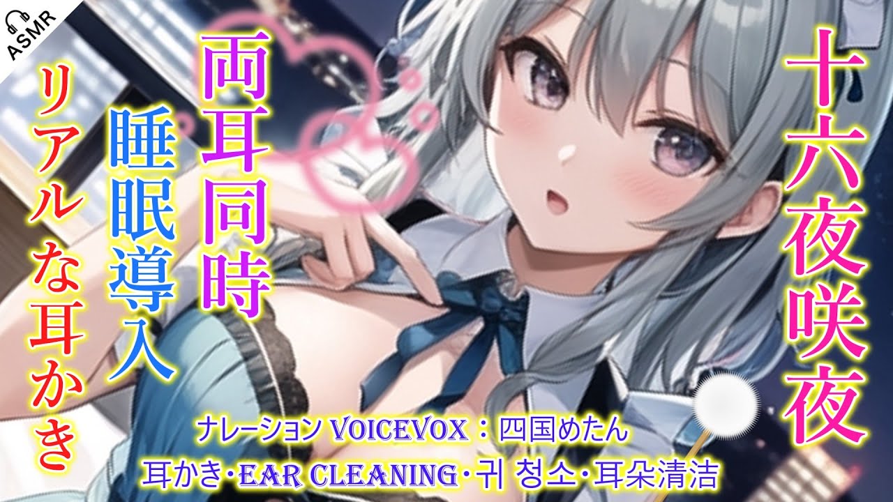 【ASMR】咲夜は匠のリアルな耳かきであなたを癒やしたい！（匠・耳かき・両耳同時・睡眠導入）3:42までナレーション【touhou】【3Dio】ear cleaning
