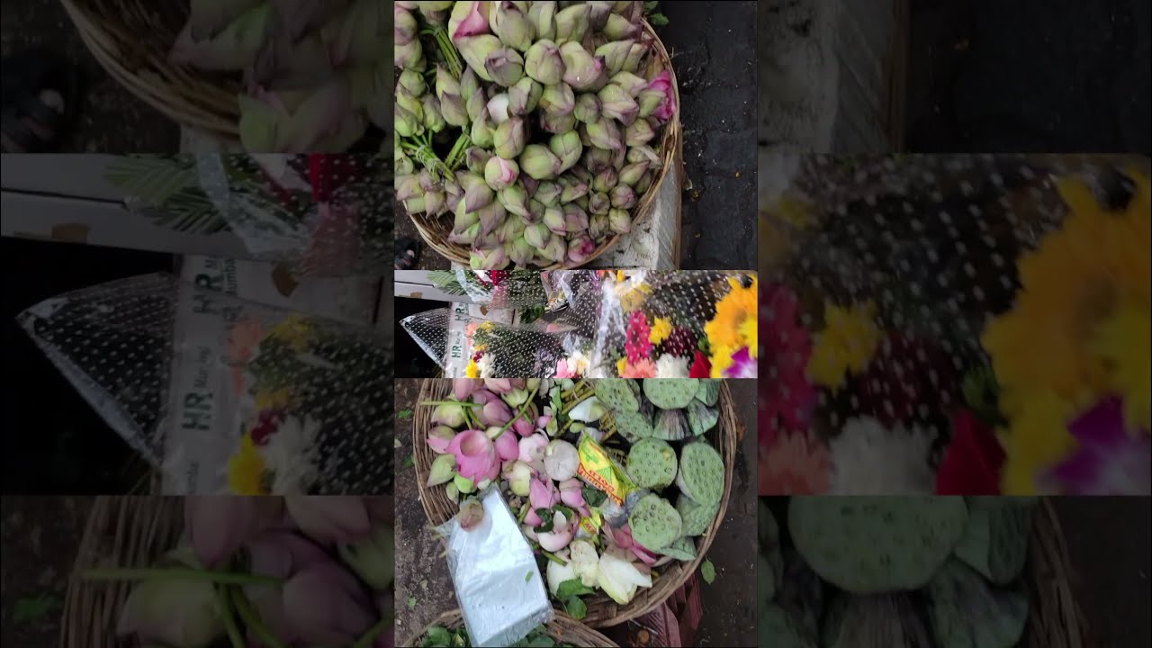 Whole sale Flower Market #shorts