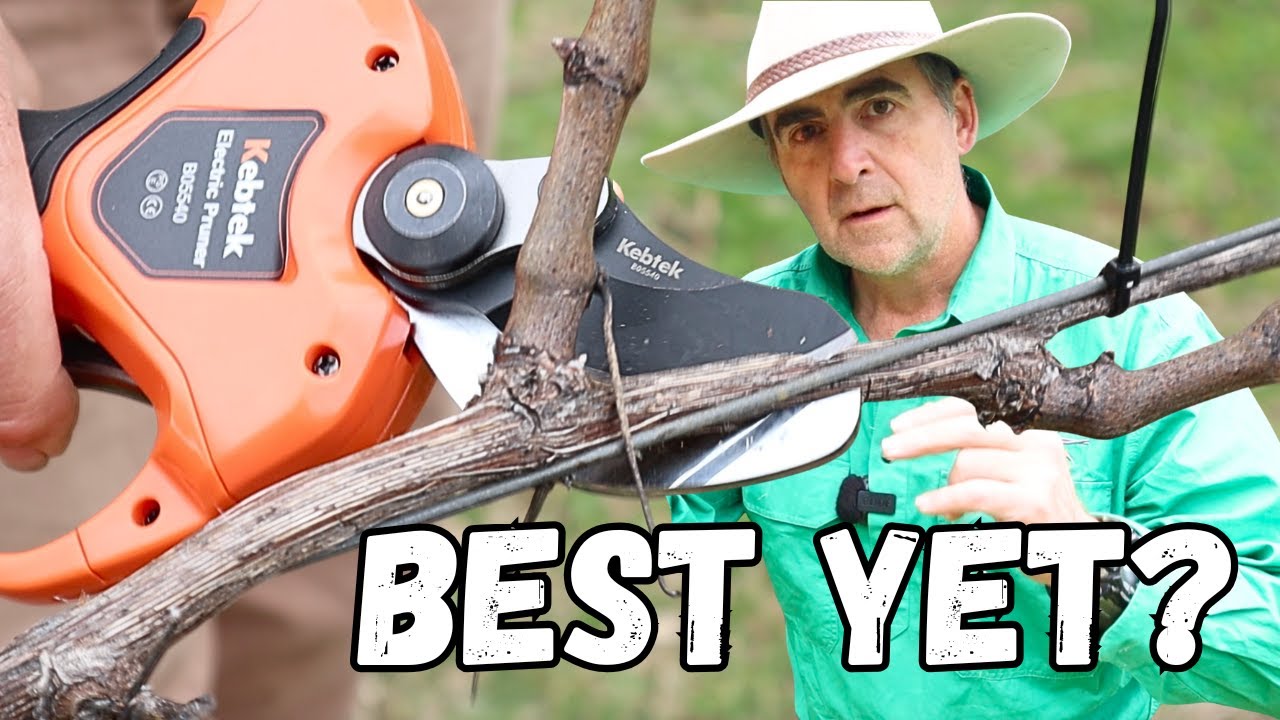 Kebtek Electric Secateurs & Pole Review – Cuts Big, Works Fast!