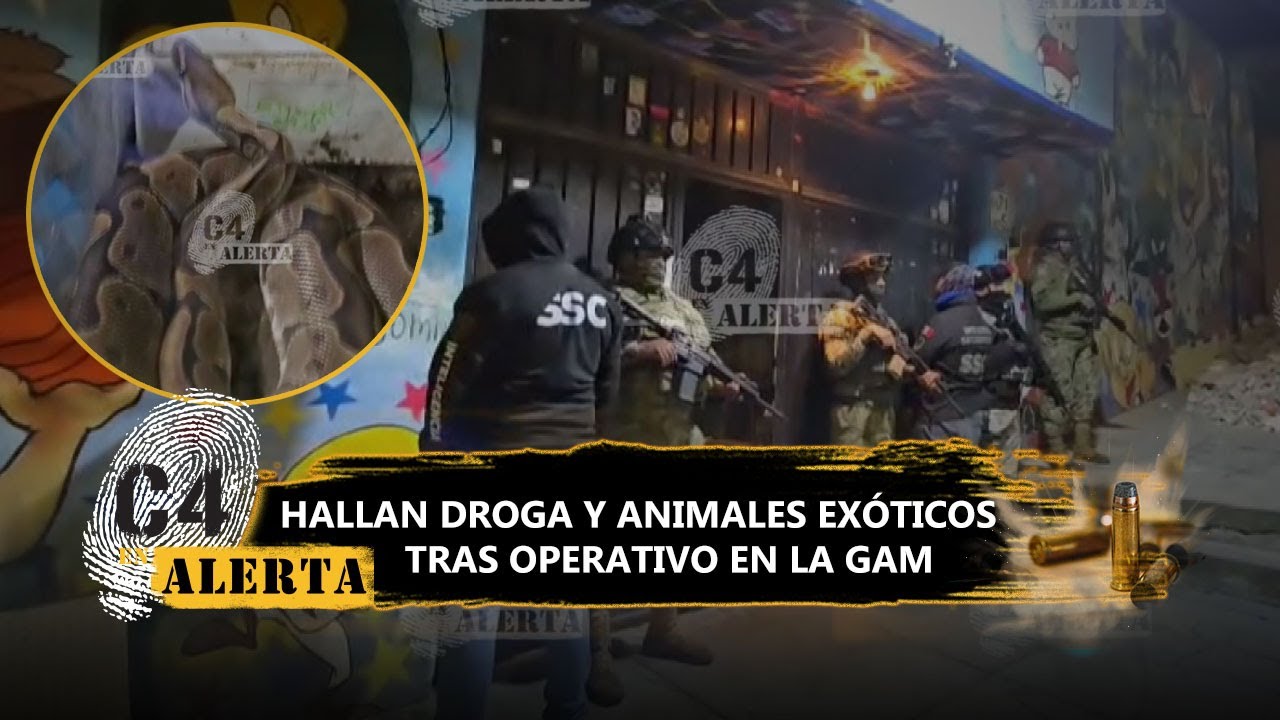 &iexcl;Boas, cascabeles y mariguana! SSC asegura inmueble en la GAM con drogas y 14 animales ex&oacute;ticos