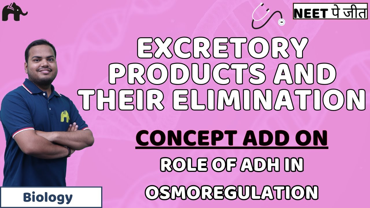 Excretory Products And their Elimination Class 11 NEET | Regulation of Kidney Function | Biology