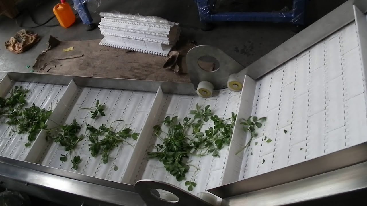 Z Conveyor for Dehydrated Vegetables to Hopper by #conveyor #dehydration  by  @excel@excelconveyors