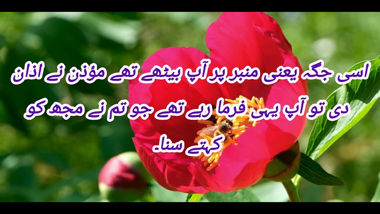 Hadees#914