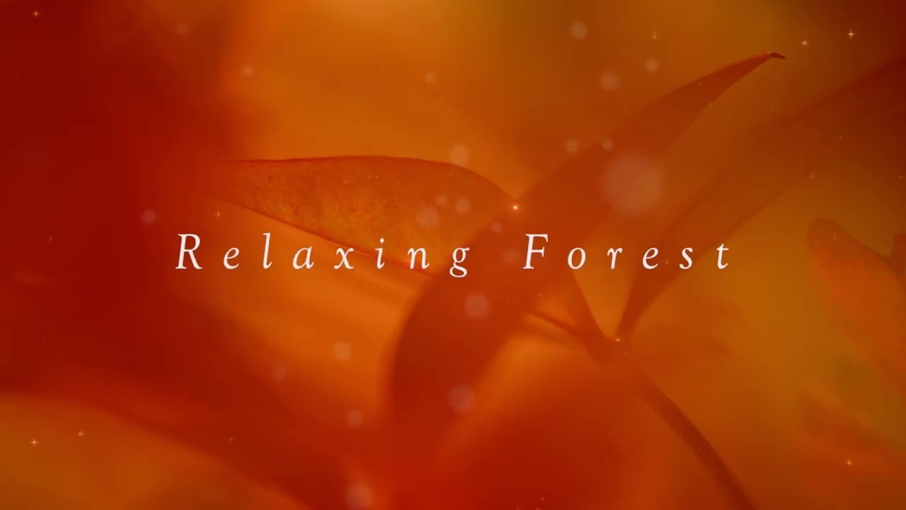 Slow Stroll 🌳3 h - 평화로운 산책처럼, 몸과 마음에 깊은 쉼을 주는 힐링음악, 휴식음악