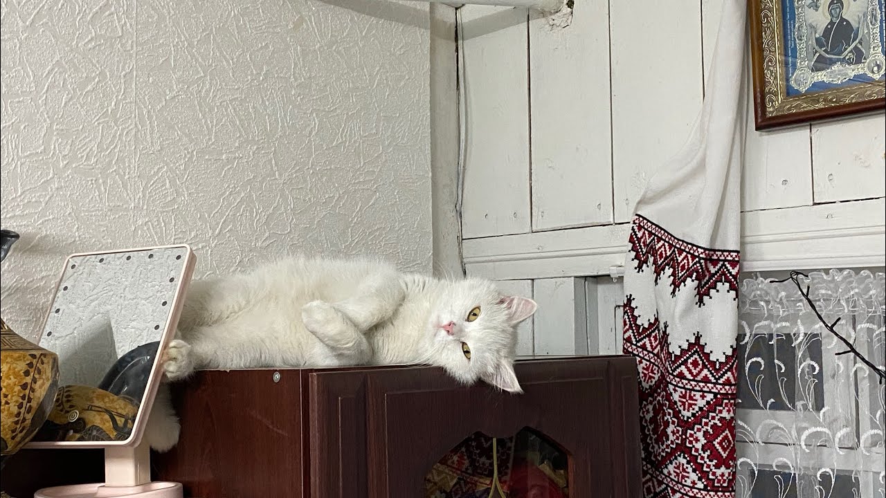 01.03.2026. Стрим из села с Журавлевыми!