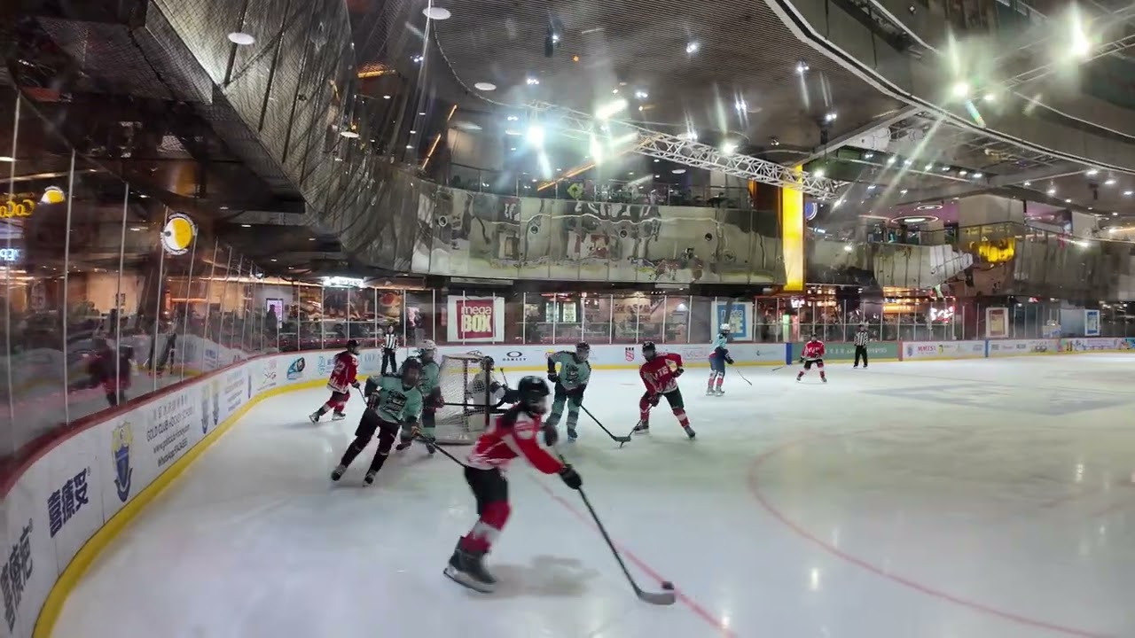 AHL - WIHO Elite vs Hockey Pirates (25 01 2026)