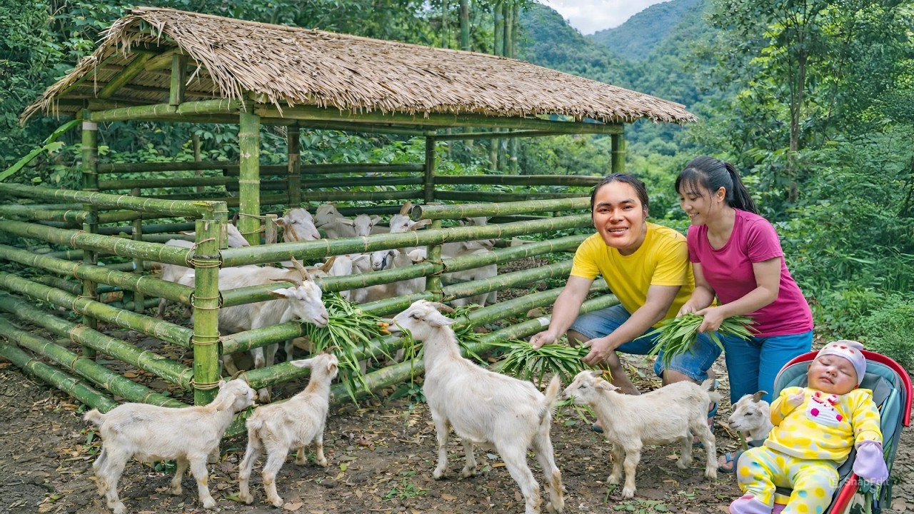 Completing the New Bamboo House for the Mountain Goats - Rural Life | SURVIVAL ALONE