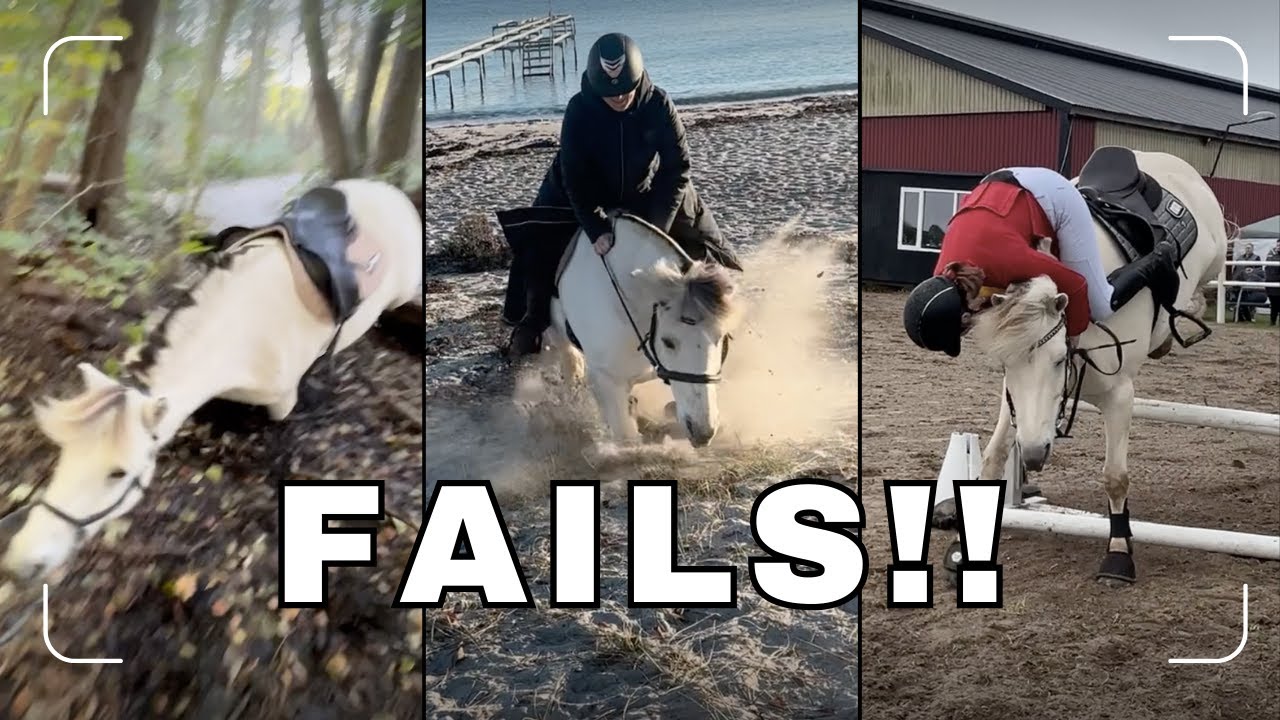 FAILS 2024 & 2025