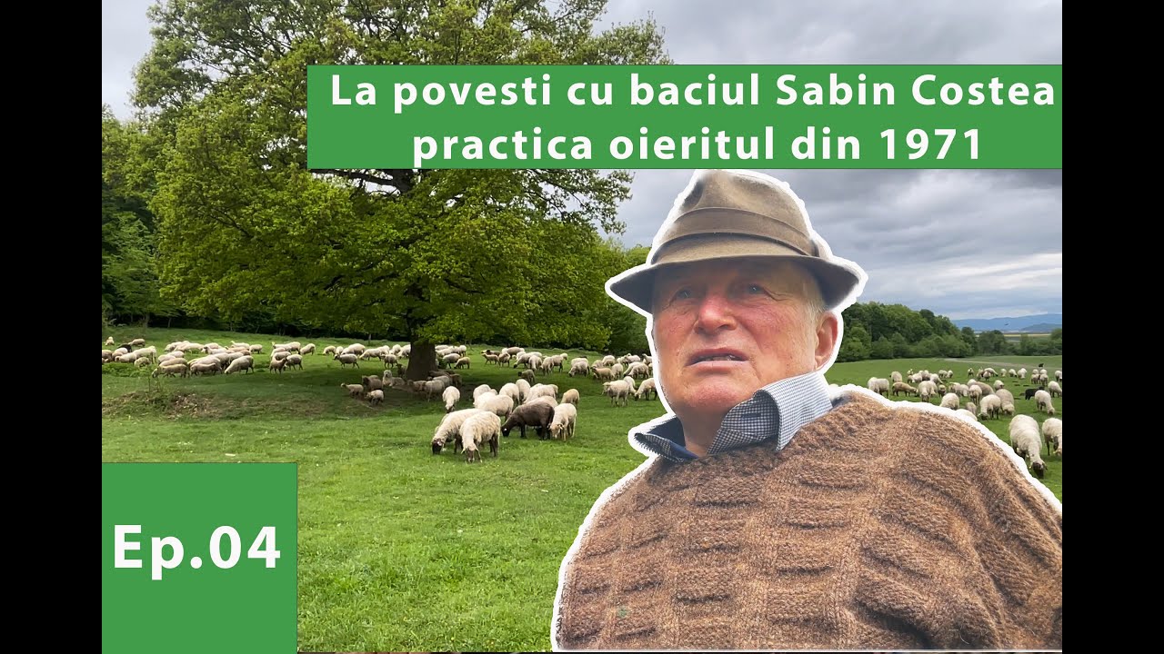 La povesti cu baciul Sabin Costea din Teliu  - practica oieritul din 1971