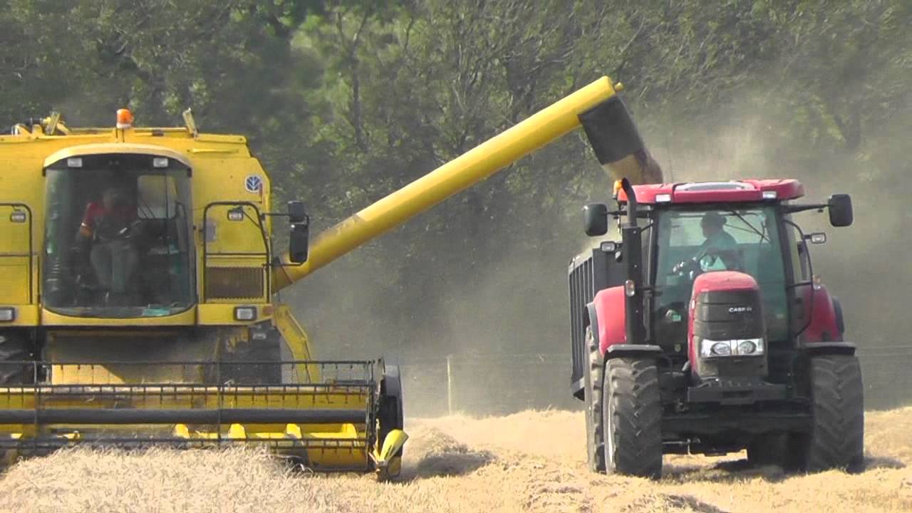 Combining Barley with Two New Hollands