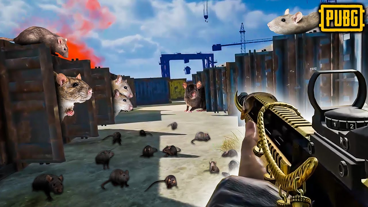 Welcome To RAT CITY - PUBG