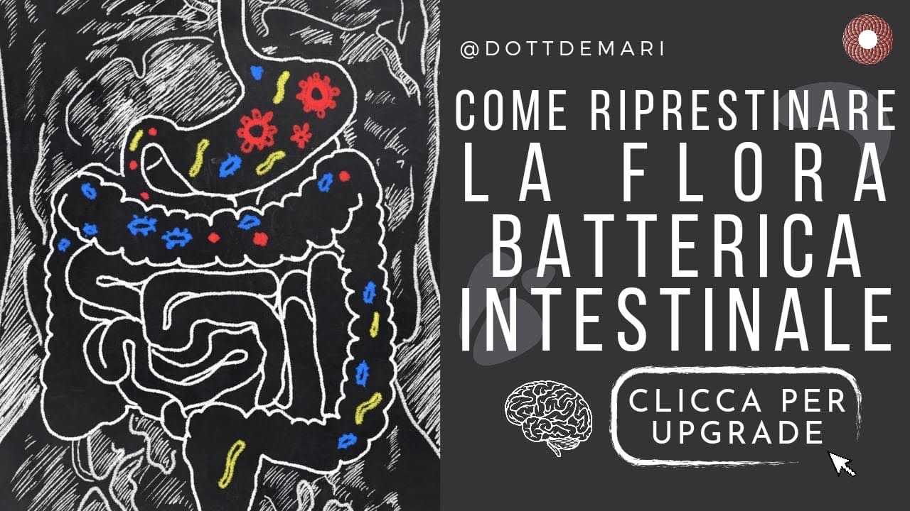 Come ripristinare la flora batterica intestinale