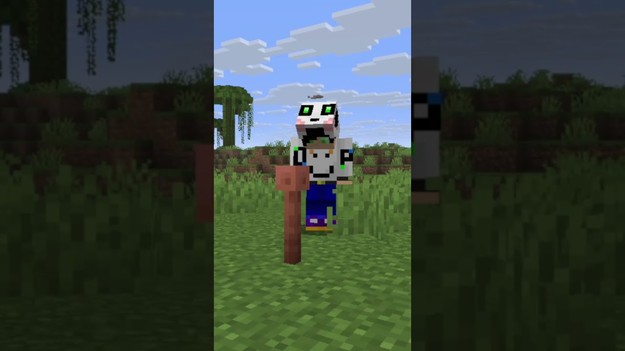 Secret rideable mob in Minecraft.