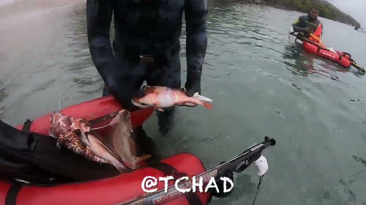 Chasse Anses d'Arlet 26 02 2022